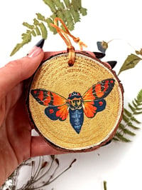 Image 4 of Cicada Christmas Ornament 