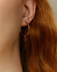 Image 5 of Aro Estrella