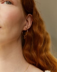 Image 4 of Aro Estrella