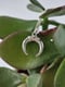 Image of Half Moon Necklace