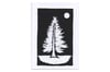 Pine Tree Card