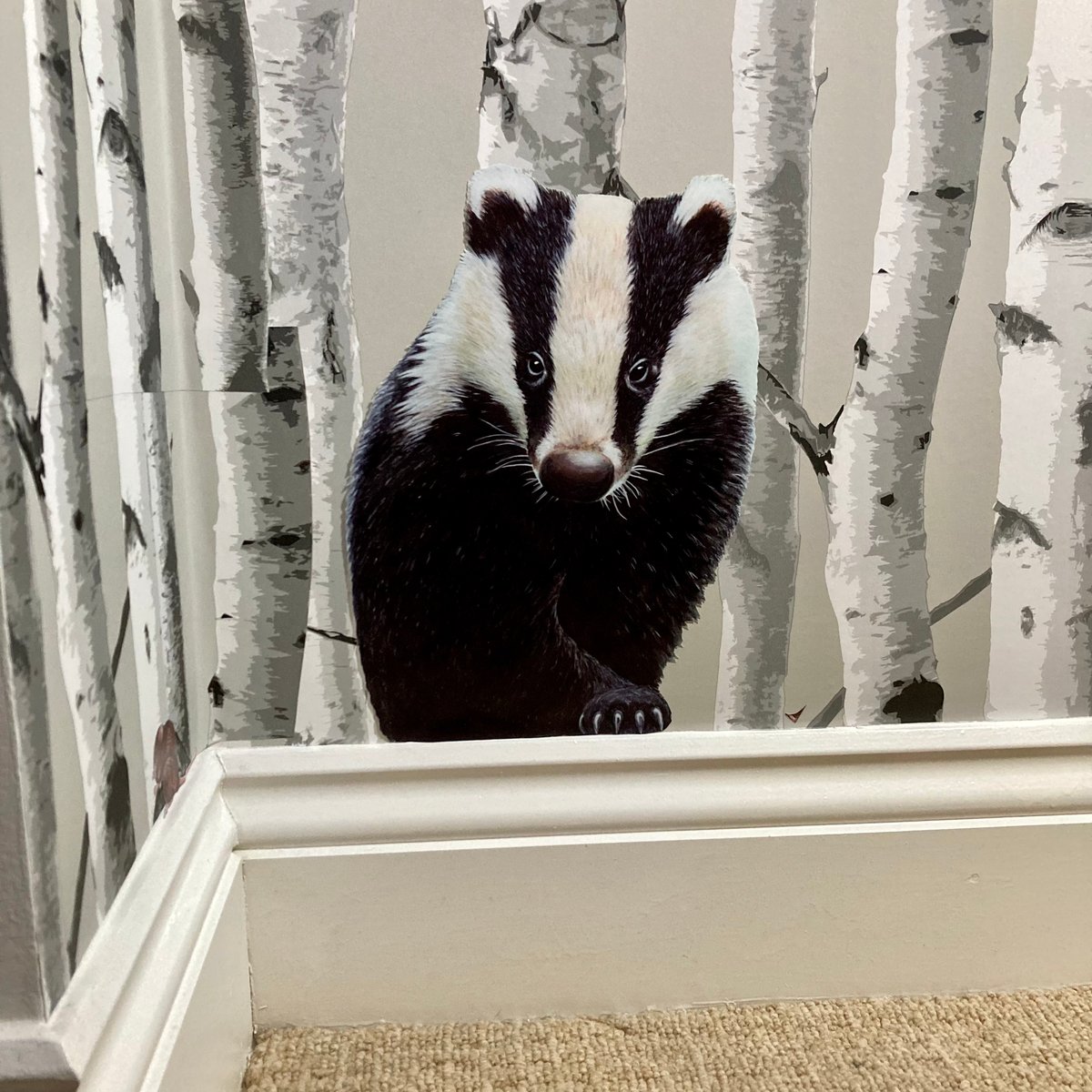 Image of Badger cub 'Bracken' ~ Removable Wall sticker