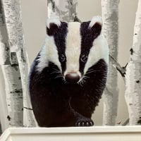 Image 5 of Badger cub 'Bracken' ~ Removable Wall sticker