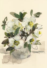 Hellebores no. 4