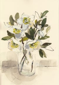 Hellebores no. 5