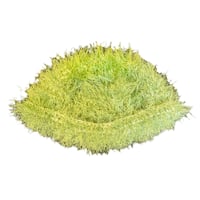 Image 1 of Fluffy Beanie (Toxic Green)