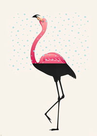 Flamingo Split 1