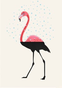 Flamingo Split 2