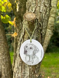 Image 2 of Labrador Decoration 
