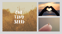 Image 1 of Spiritual Wellbeing (Religious/Christ Based) - Online & In-Person