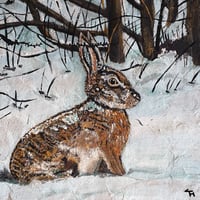 Hare In Snowy Woodlands Print