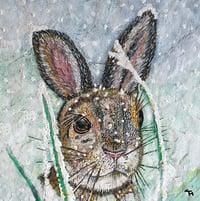 Polly The Hare Print