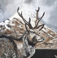 Stag Print