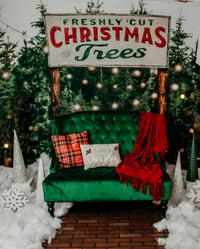 Image 3 of 2023 Christmas Memories