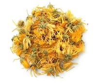 CALENDULA