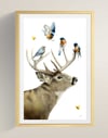 Social Butterfly
