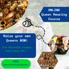 Online Queen Rearing Course