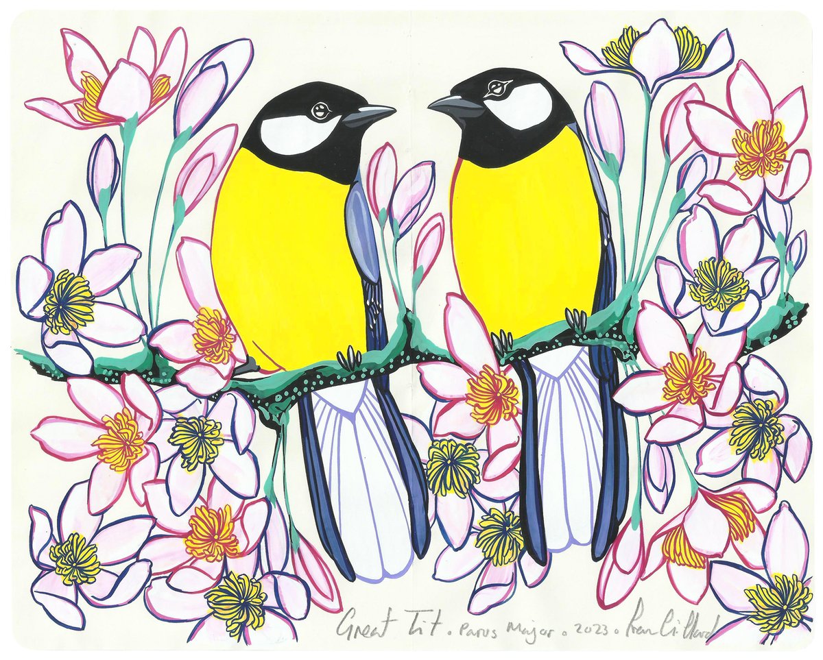 Image of Great Tits and Clematis