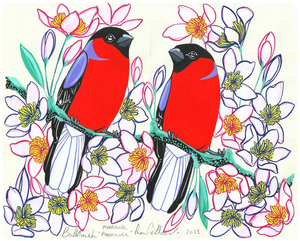 Image of Bullfinch and Clematis