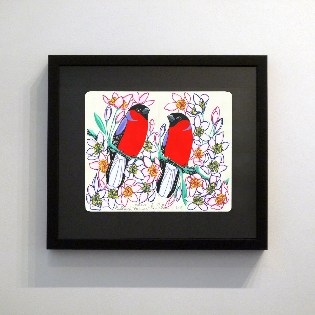 Image of Bullfinch and Clematis