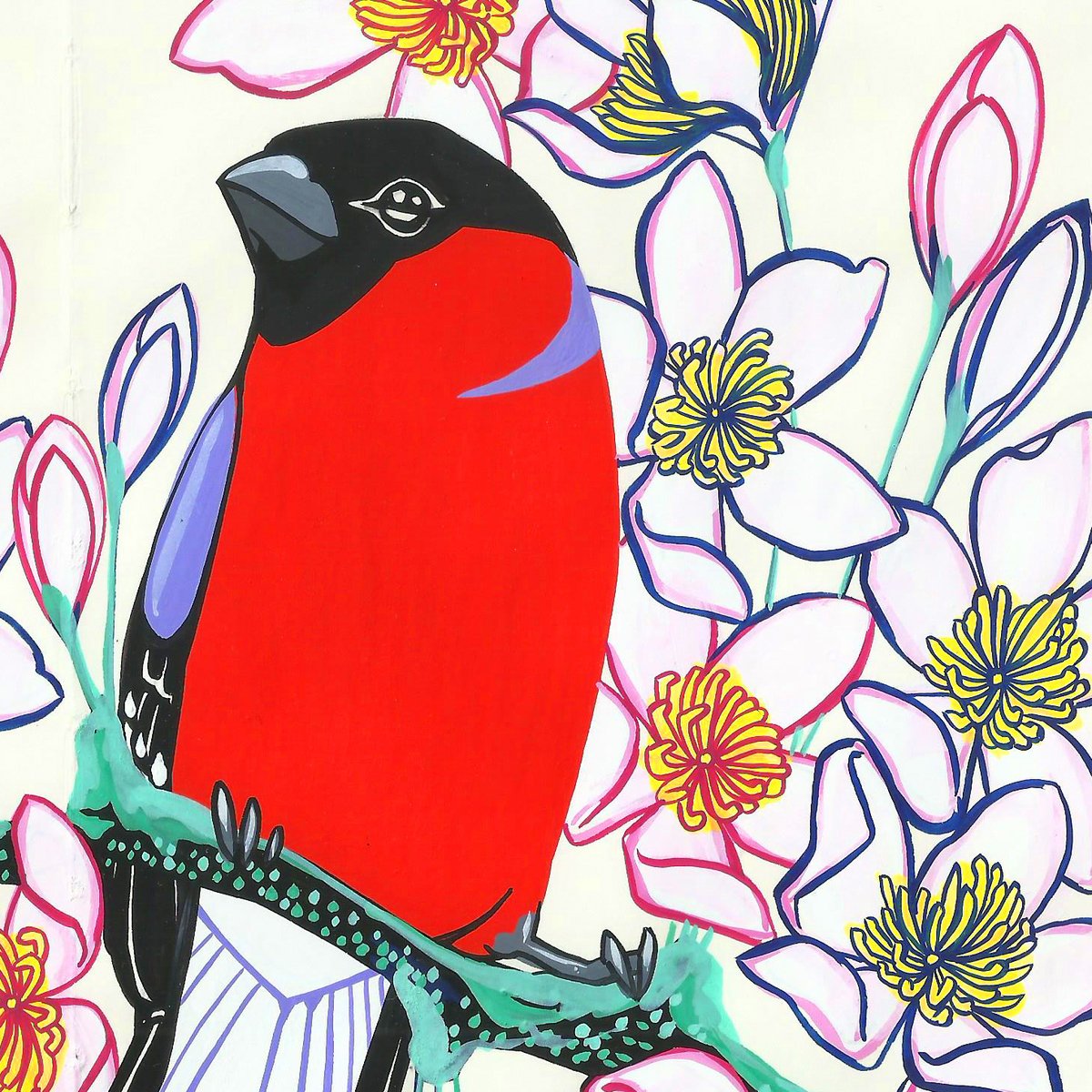 Image of Bullfinch and Clematis