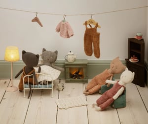 Image of Gatito jengibre