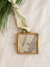 Hanging frame - Fern 01 - Small brass frame botanical print. 