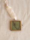 Hanging frame - Grass 01 - Small brass frame botanical print