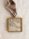 Hanging frame - Ginkgo - Small brass framed botanical print 