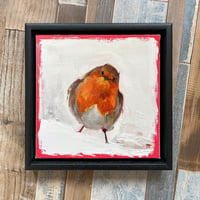 Image of Rosy Robin