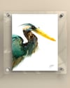 First Blue Heron - Print