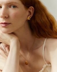 Image 5 of Medalla Golondrinas