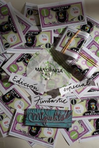 Fanzine Especial Funtastic