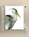Blue Heron - Wind / Print