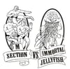 M Section vs The Immortal Jellyfish 12" LP
