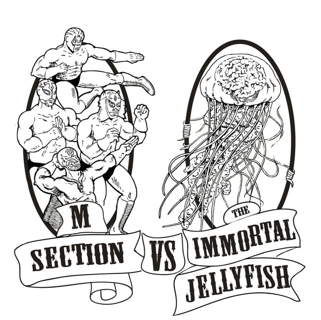 M Section vs The Immortal Jellyfish 12" LP