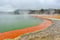 Image of Champagne Pool