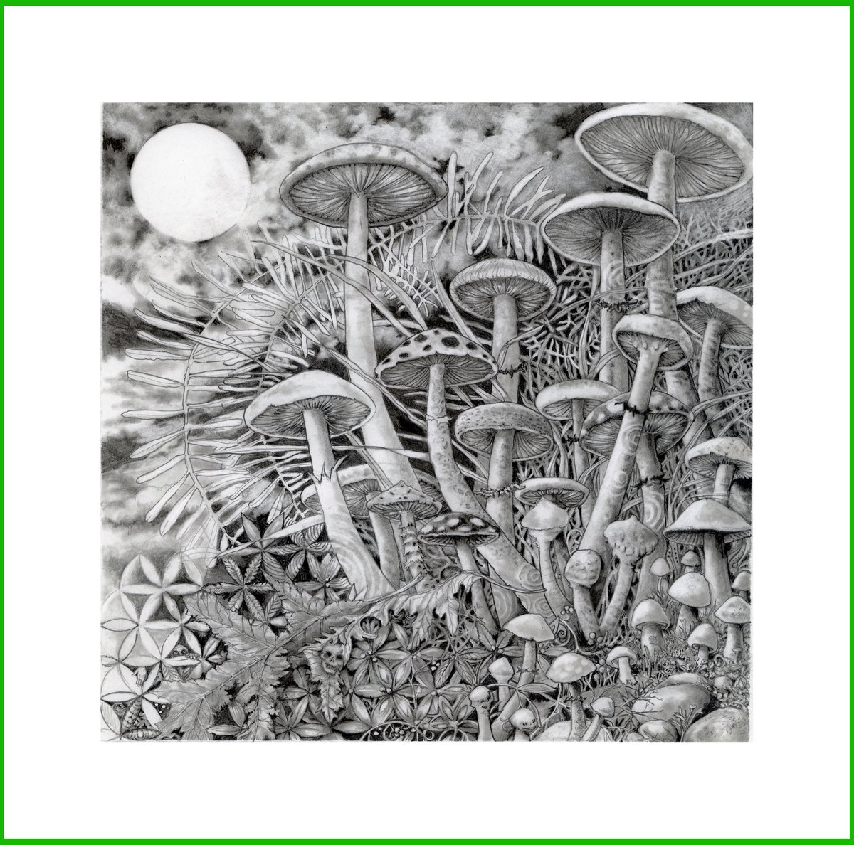 Image of 'Flower of Life' by Janet Balboa