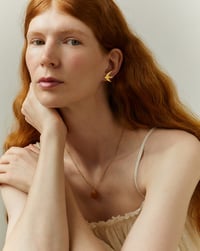 Image 5 of Pendientes Golondrina L