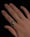 Image of SCURO—02