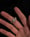 Image of SCURO—03