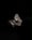 Image of SCURO—01