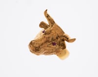 Image 1 of Bull Ring
