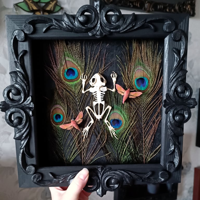 Toad skeleton with hawkmoths