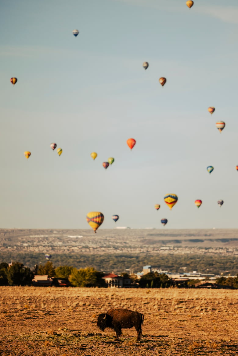 Image of Albuquerque Balloon Fiesta 3