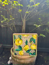 Image 3 of When Life Gives you Lemons in Italy