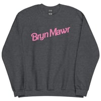 Image 4 of Small Supply x Silly Fun Bryn Mawr Sweatshirt