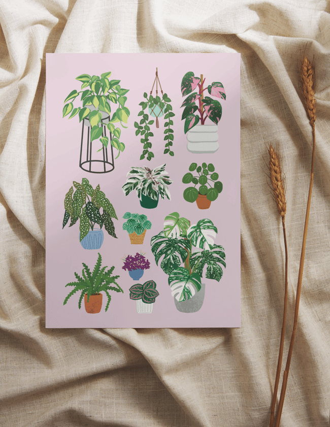 Houseplants Notecards