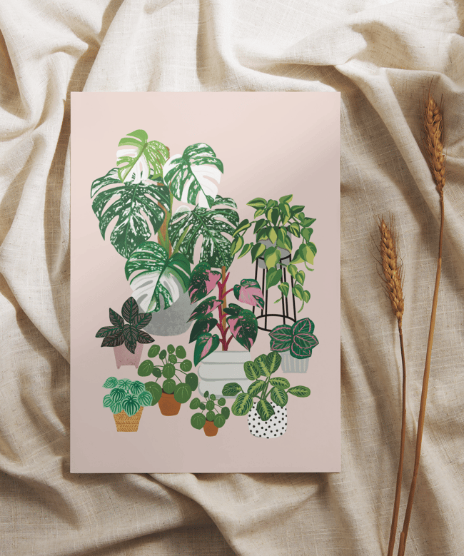 Houseplants Notecards