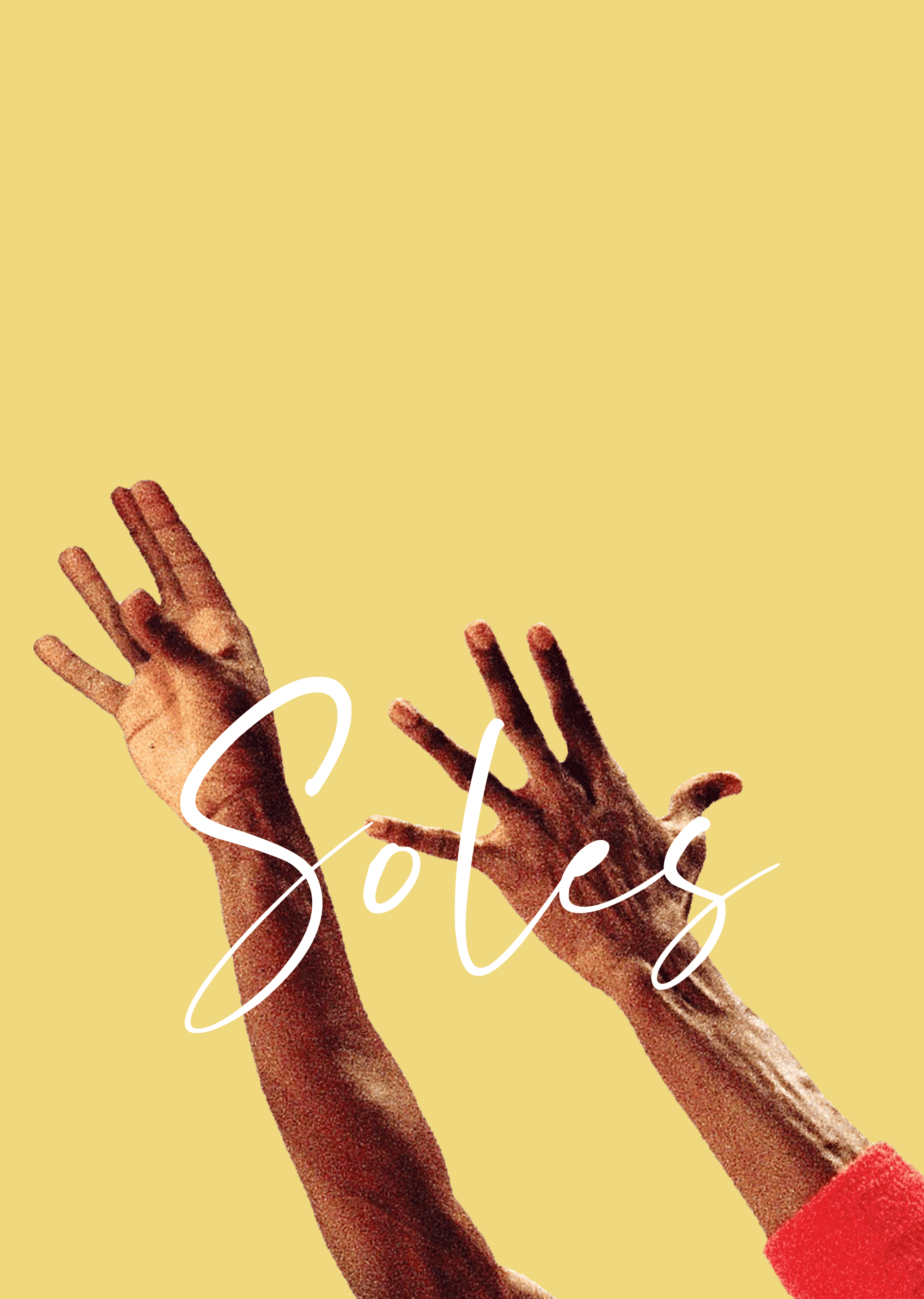 The Air Jordan Collection Book | Unofficial Official Label